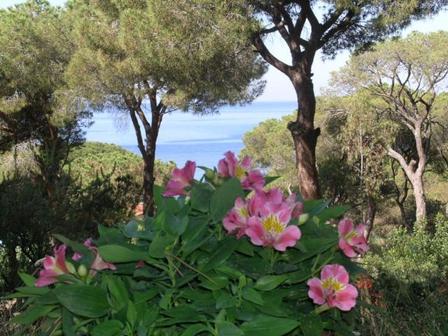 appartamento vacanze Elba